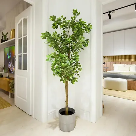 Apartment Aiastay River *